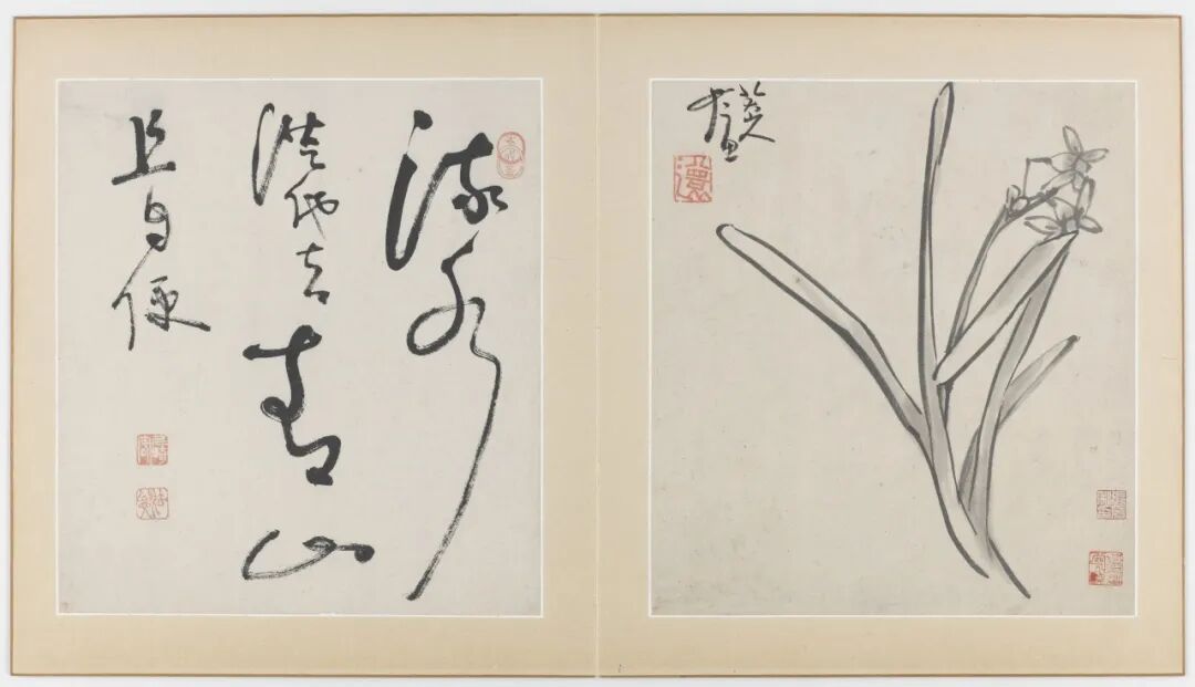 八大晚年《花鸟虫鱼图》
