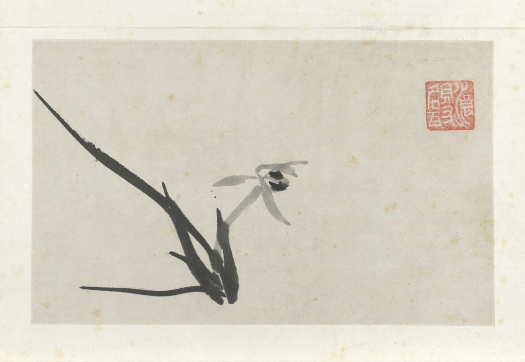 八大山人·书画作品 13