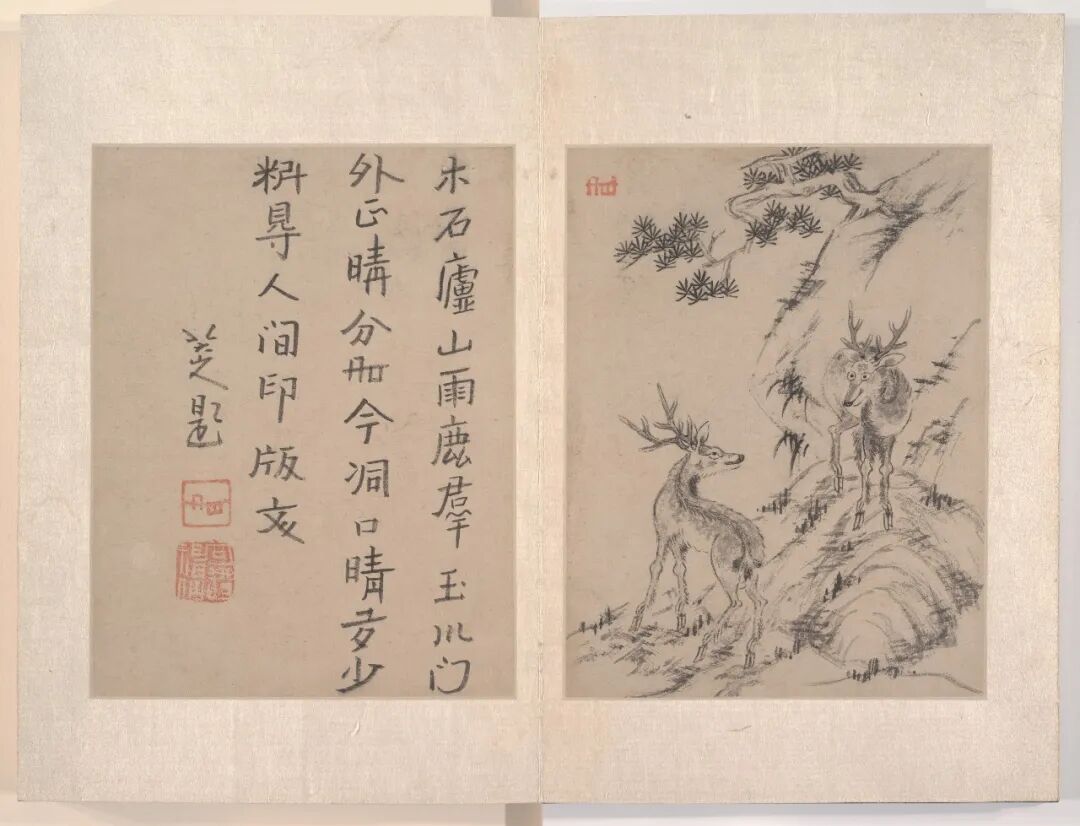 八大山人·书画作品 14