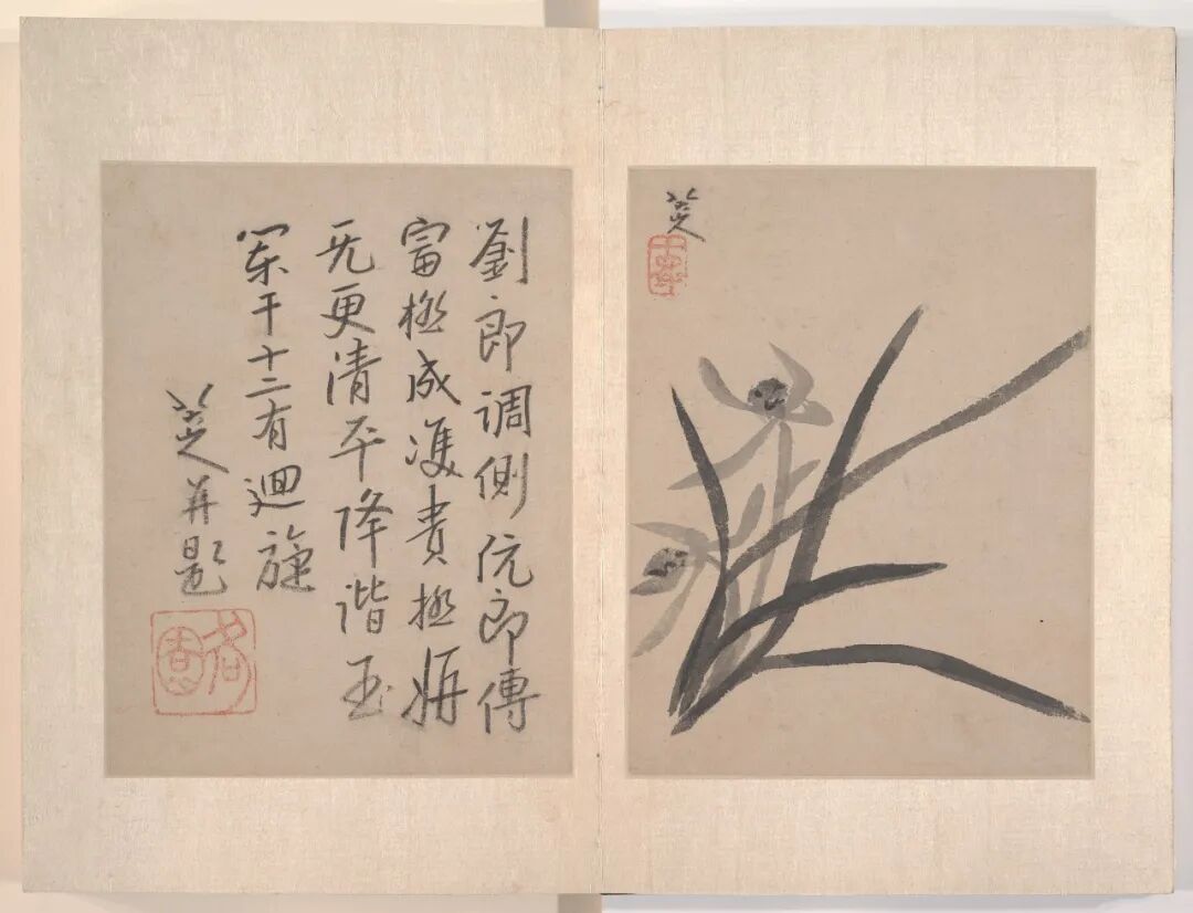 八大山人·书画作品 16