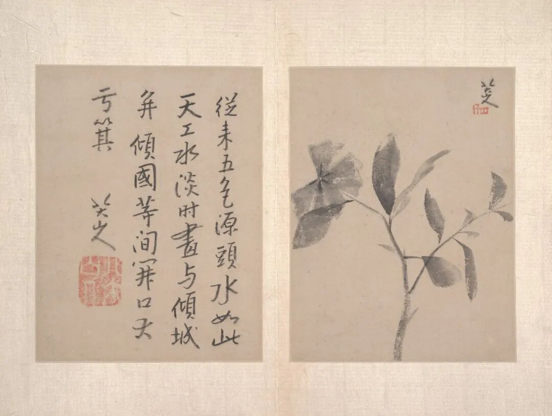 八大山人·书画作品 17