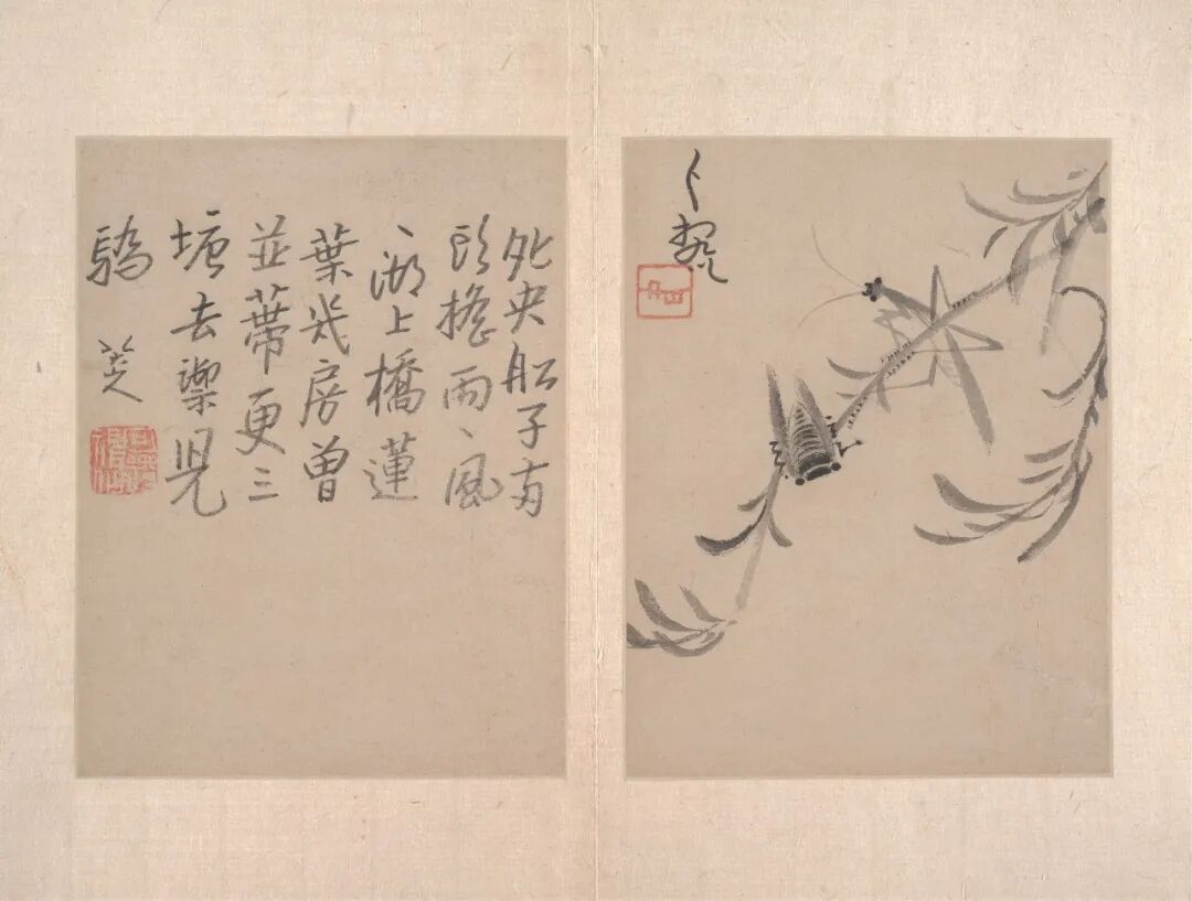 八大山人·书画作品 19