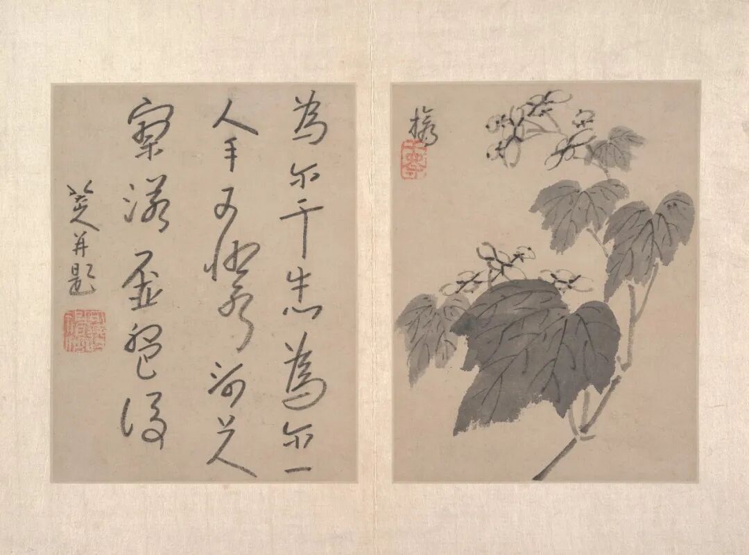 八大山人·书画作品 20