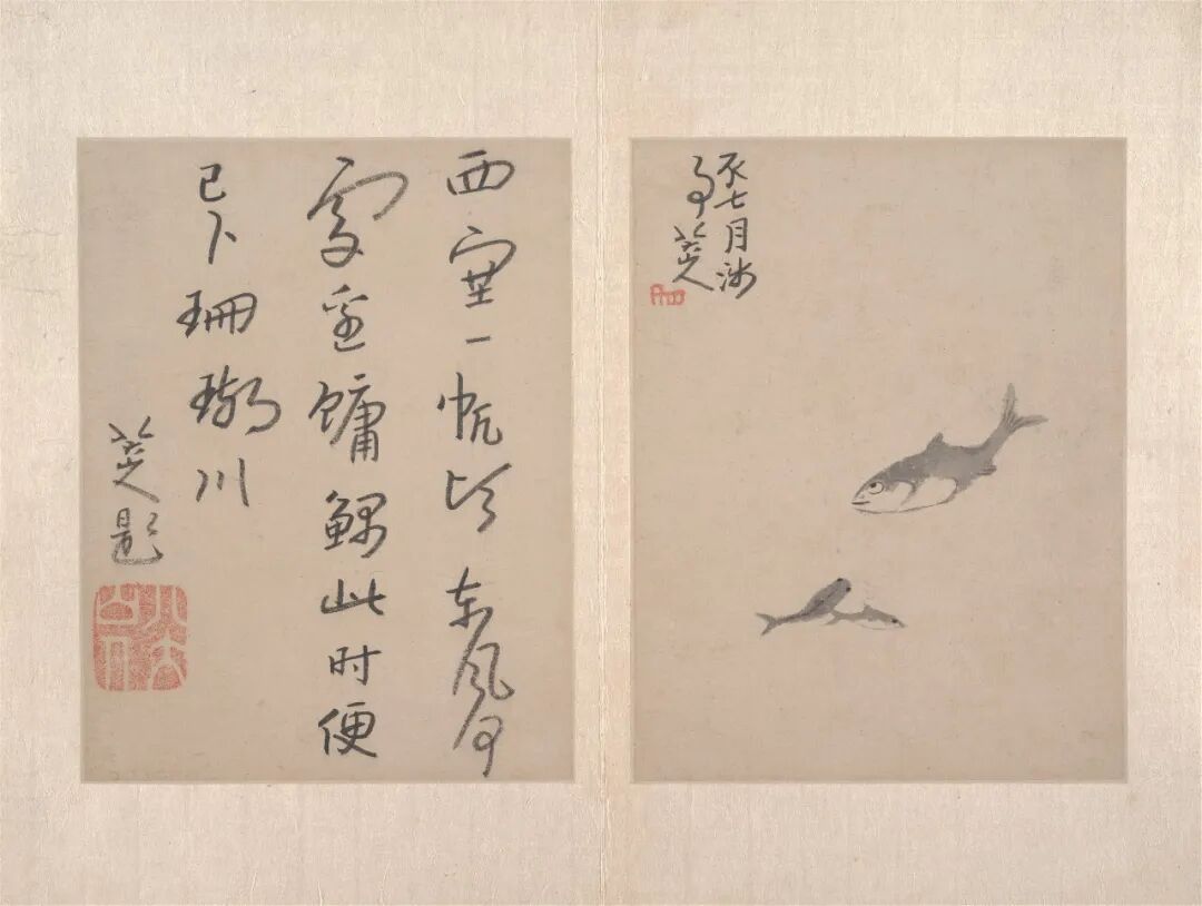 八大山人·书画作品 22